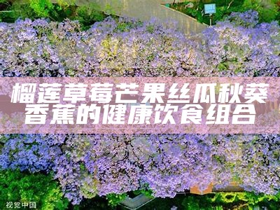 榴莲草莓芒果丝瓜秋葵香蕉的健康饮食组合