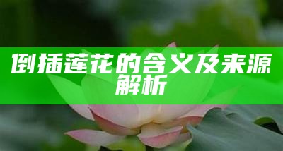 倒插莲花的含义及来源解析