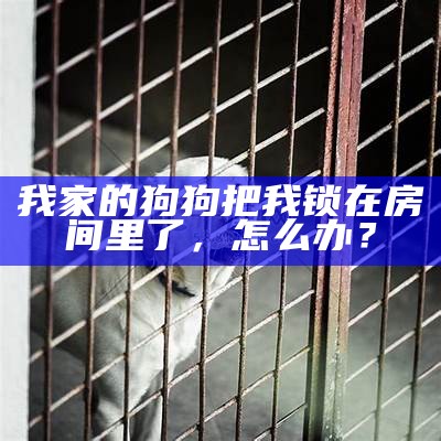 我家的狗狗把我锁在房间里了，怎么办？
