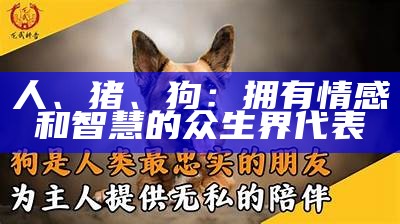 人、猪、狗：拥有情感和智慧的众生界代表