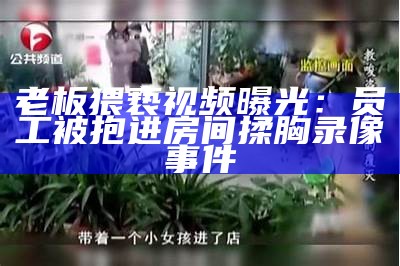 老板猥亵视频曝光：员工被抱进房间揉胸录像事件