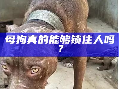 母狗真的能够锁住人吗？