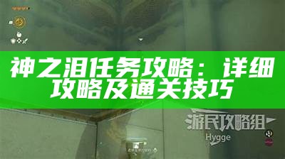 神之泪任务攻略：详细攻略及通关技巧