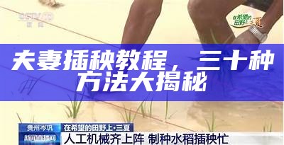 夫妻插秧教程，三十种方法大揭秘