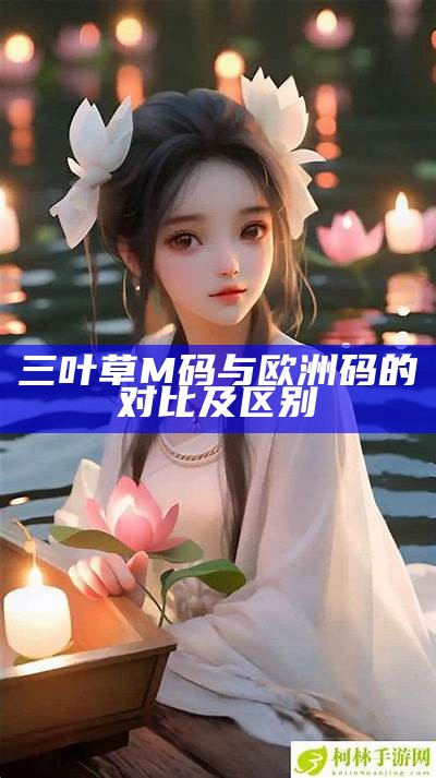 三叶草M码与欧洲码的对比及区别