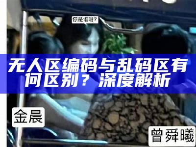 无人区编码与乱码区有何区别？深度解析