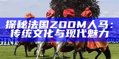 探秘法国ZOOM人马：传统文化与现代魅力