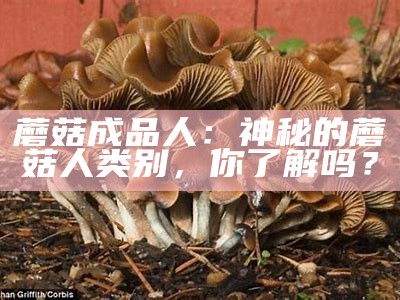 蘑菇成品人：神秘的蘑菇人类别，你了解吗？